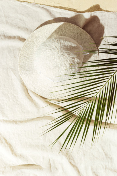 夏天最小的背景，俯瞰宽檐遮阳帽下的棕榈叶在沙滩毛巾上的沙子。夏日唯美摄影粉彩米色，拷贝空间，度假，放松的概念。图片下载