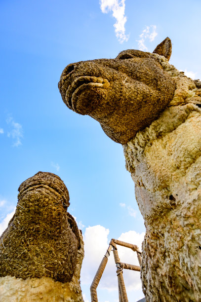 清迈省的羊草木偶与蓝天图片下载