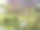 日本。4月。樱花盛开的护城河。图片下载