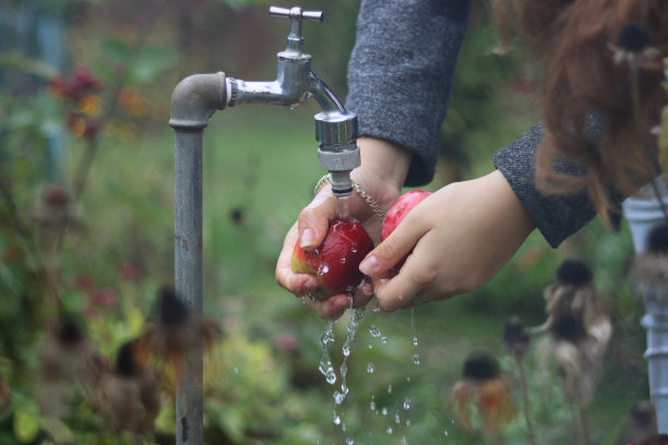 在花园里，年轻女子的手在水龙头流出的水柱下洗着两个红苹果。花园的花卉和植物为背景。女性农民。园丁的生活图片下载