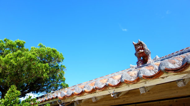 红瓦屋顶和冲绳县的Shisa竹美岛图片下载