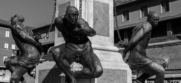 四个森图片下载