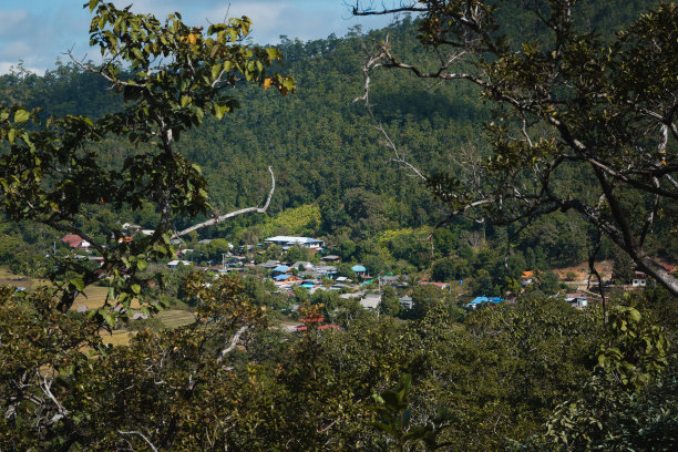 泰国北部的一个村庄，从丛林的树枝之间看图片下载