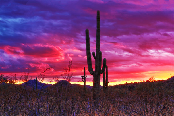 壮观的日落图片下载