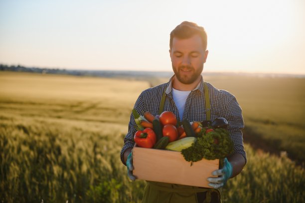 男性农民在田里抱着装满蔬菜的箱子图片下载