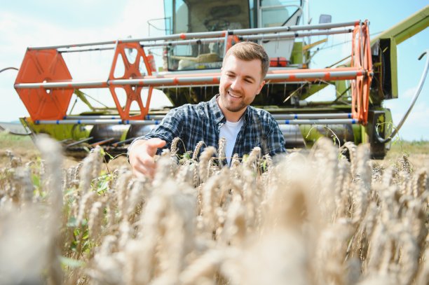 收割时站在麦田里的农民图片下载