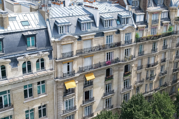 巴黎，鸟瞰，古建筑图片下载