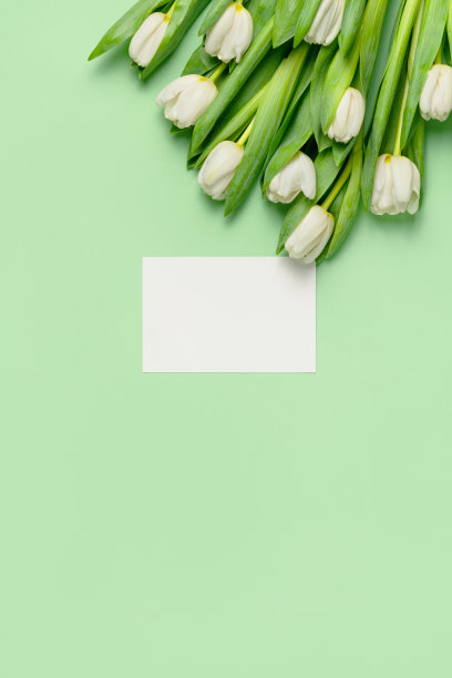 新鲜的白色郁金香和空白色卡片在浅绿色的背景。天然花朵，绿叶。春天的明信片。节日组成。贺卡和鲜花平铺。俯视图，复制空间图片下载