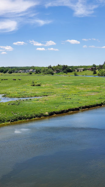 在加拿大安大略省的圣玛丽，一条河流被郁郁葱葱的树木包围在绿色的田野里图片下载