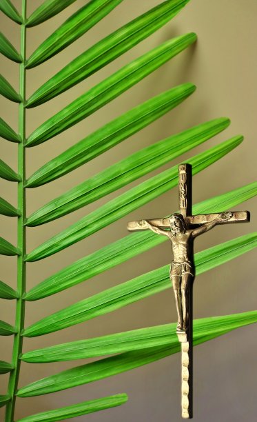 棕榈枝和银十字架的细节图片下载