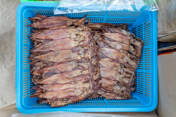 很多棕色的鱿鱼被放在塑料袋里在阳光下晒干。人们用这种方法晾干海鲜是很常见的。图片下载