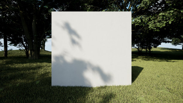 白色极小讲台中间的松林森林三维插图渲染图片下载