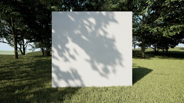 白色极小讲台中间的松林森林三维插图渲染图片下载