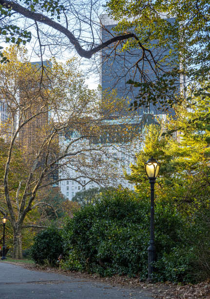 春天的中央公园图片下载