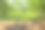 木桌与公园散景背景图片下载