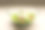 特写镜头:玻璃碗里的沙拉，里面有牛角果和马苏里拉奶酪图片下载