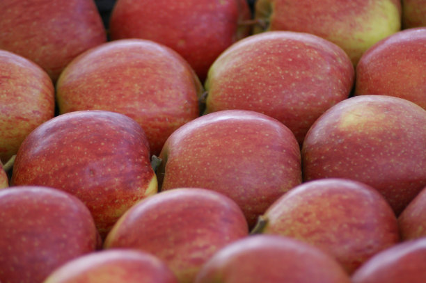 市场上有一大堆新鲜的苹果图片下载