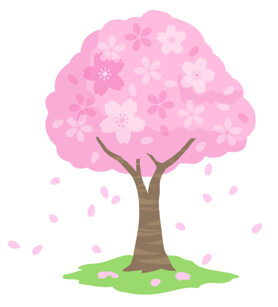 春天的樱花树和花瓣图片下载