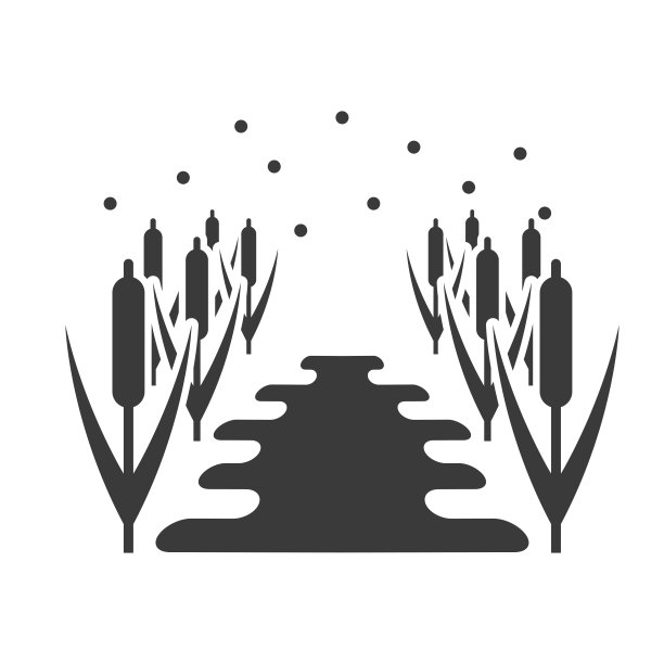 一个池塘芦苇象形文字图标孤立在白色背景。矢量插图。图片下载