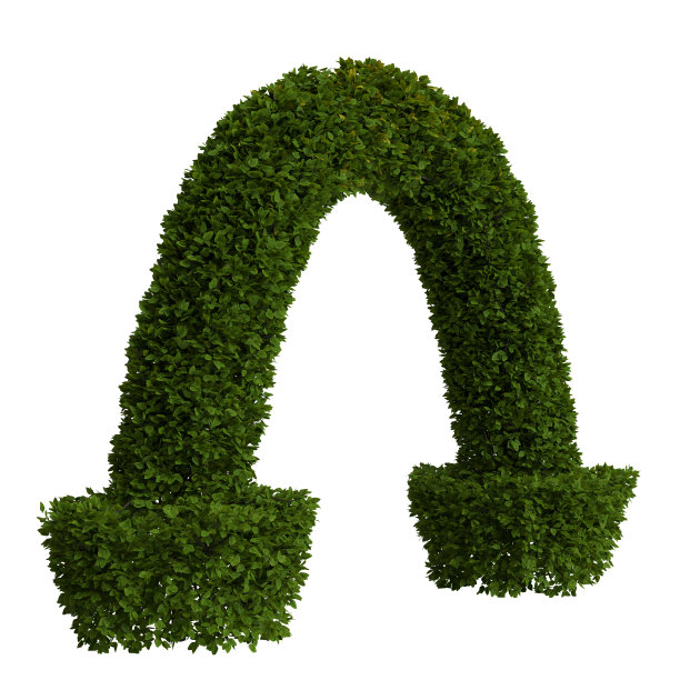 在白色背景上隔离的树门3d插图图片下载