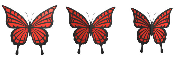 昆虫收集蝴蝶运动飞行3D插图图片下载