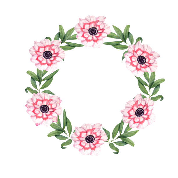 水彩花环与海葵，桉树孤立在白色背景。植物绘画明信片设计，邀请模板，情人节，生日，婚礼，母亲节卡片图片下载