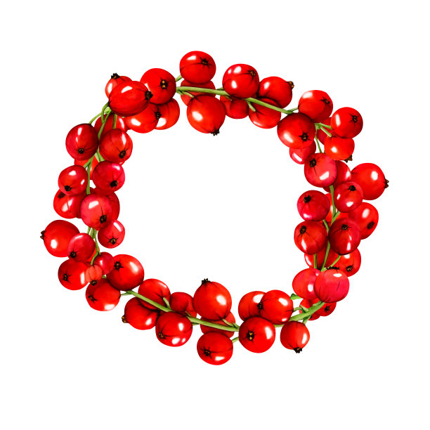 水彩框架的红色成熟的醋栗浆果孤立在白色背景。手绘植物插图。剪贴艺术浆果树枝框架。洋红色万岁。图片下载