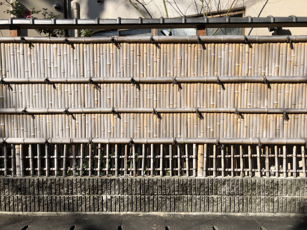 日本墙-石竹图片下载