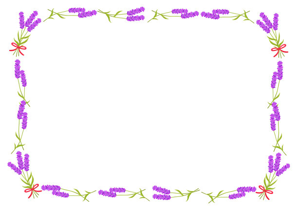 薰衣草框架花束花自然花插图草药香气图片下载