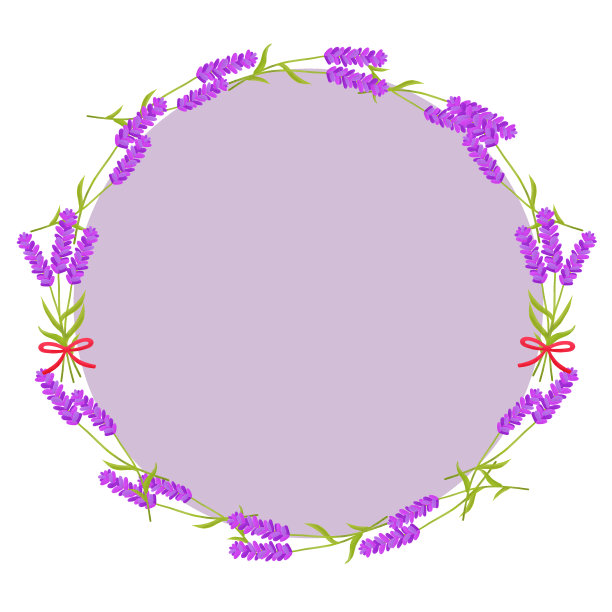 薰衣草框架花束花自然花插图草药香气图片下载