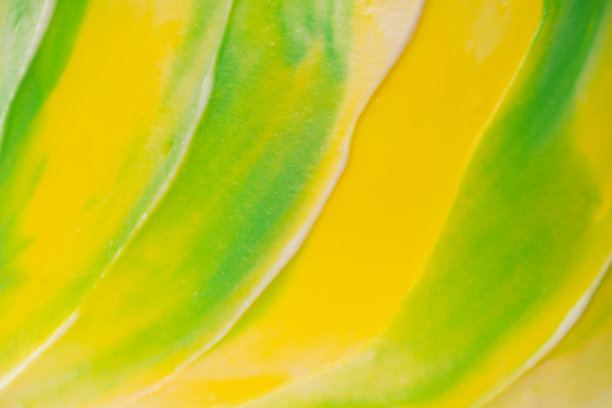 背景是奶油黄色和绿色的水彩。图片下载