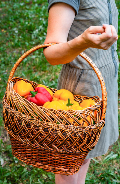 男人拿着一篮子新鲜蔬菜图片下载
