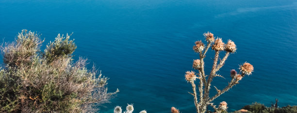 Assos Çanakkale Troias coastline, Aegean herbs, scrub vegetation in the mountains in summer and a clear sky. Aegean seacape, landcape.图片下载