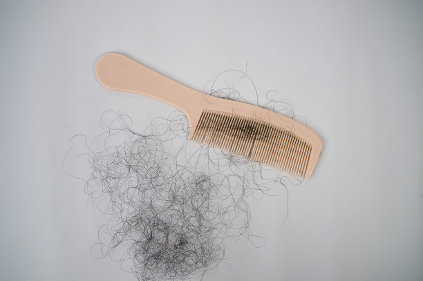 头发受损的梳子图片下载