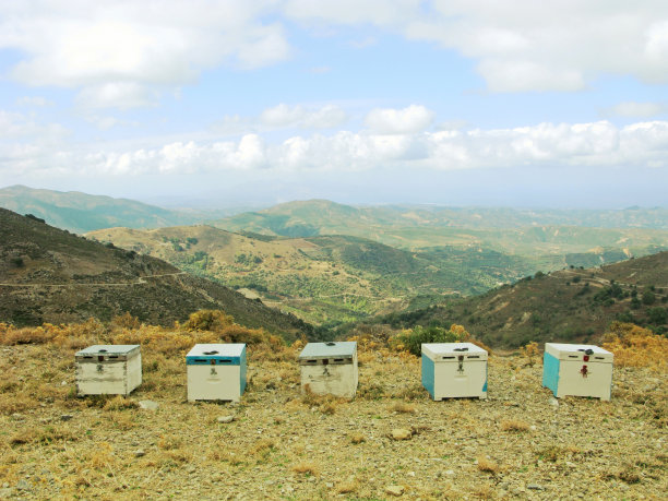 在高山上的养蜂场图片下载