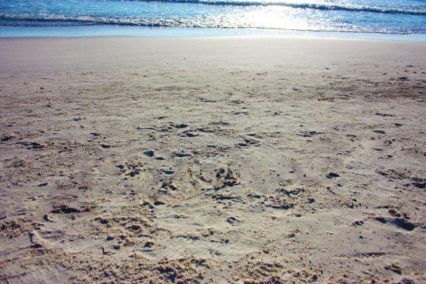 在温暖的日落时刻，沙滩上的白色细沙图片下载