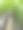 竹子郁郁葱葱。底视图图片下载