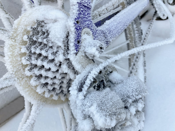 冬天在户外被雪覆盖的自行车图片下载