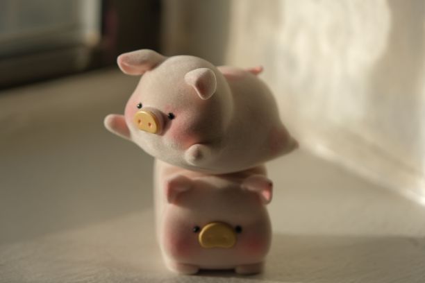 特写镜头的两个可爱的猪玩具在一个房间在一个孤立的背景图片下载