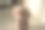 特写镜头的两个可爱的猪玩具在一个房间在一个孤立的背景图片下载