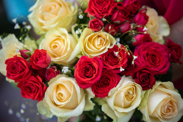 美丽的玫瑰花束图片下载