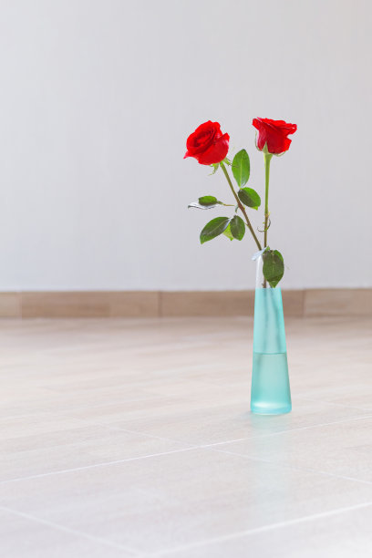 一个绿松石色的小玻璃花瓶孤零零地放在地板上，花瓶上插着两朵美丽的红玫瑰。特殊场合的礼物。图片下载