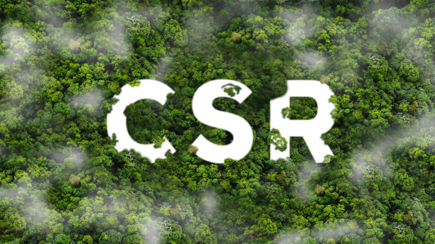 企业社会责任是企业和组织在美丽的原始丛林中的象征，企业社会责任和回馈社会。图片下载