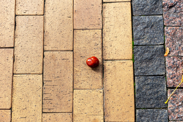 板栗果在地上的瓷砖上图片下载