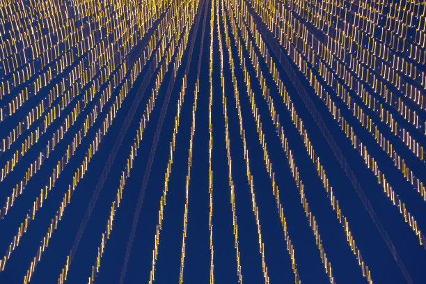 抽象模糊运动灯的花环图片下载