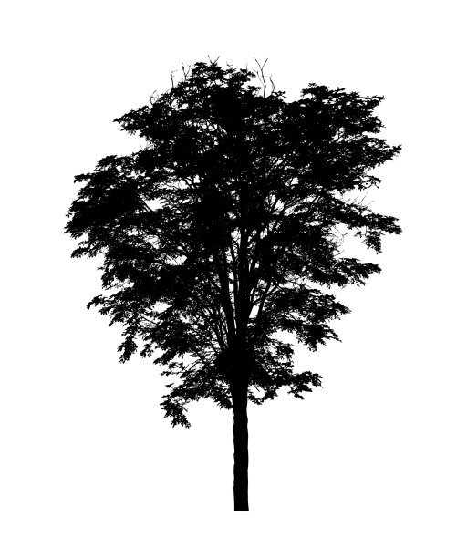 树剪影刷在白色背景图片下载