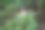 玻利维亚图片下载