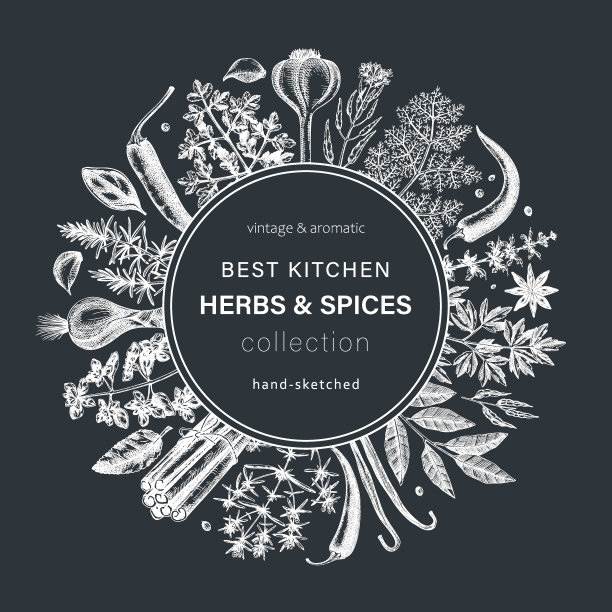 香草和香料矢量花环图片下载