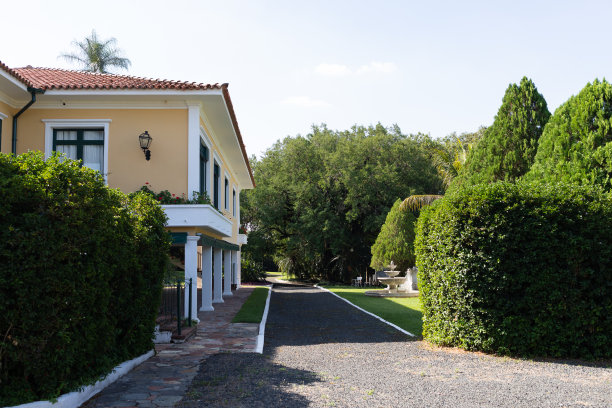 黄色的农舍外观图片下载