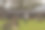 一个成熟的女人站在一个古老的乡村庭院的草坪上。图片下载
